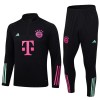 FC Bayern München Quarter Zip Trenings Collegegenser Set 23-24 Svart - Herre